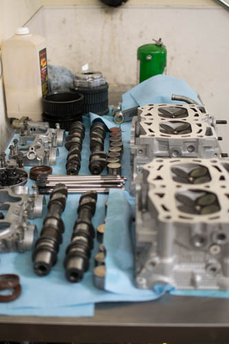 FDLB 2015 JPEG (13 of 54)