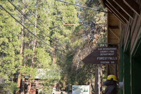 Forest Falls JPEG (103 of 133)