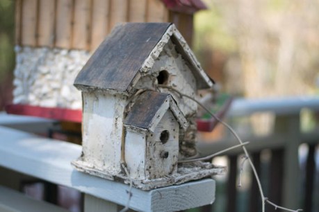 Forest Falls JPEG (2 of 133)