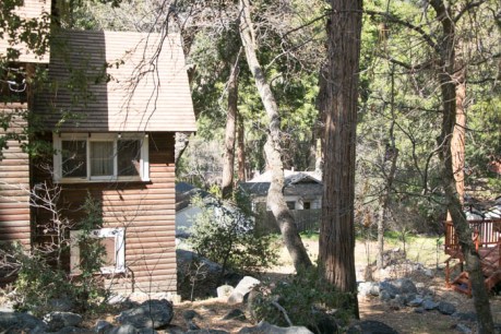 Forest Falls JPEG (20 of 133)