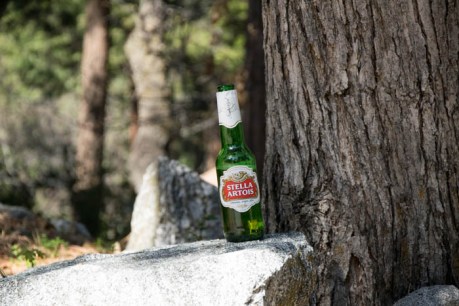 Forest Falls JPEG (22 of 133)