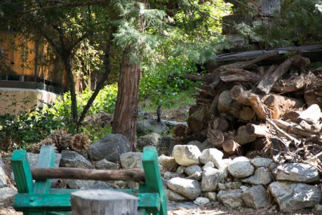 Forest Falls JPEG (28 of 133)