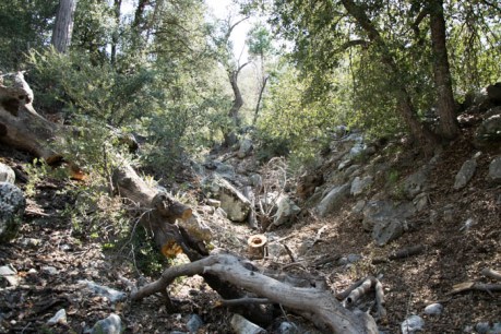 Forest Falls JPEG (56 of 133)