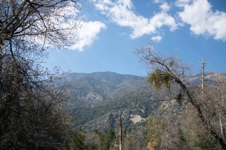 Forest Falls JPEG (82 of 133)