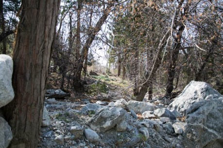 Forest Falls JPEG (83 of 133)