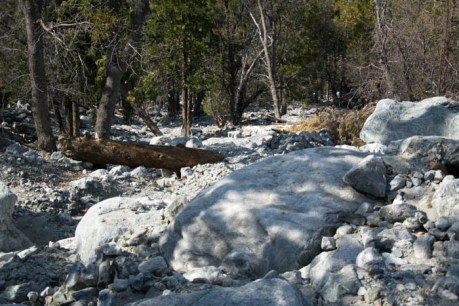 Forest Falls JPEG (88 of 133)